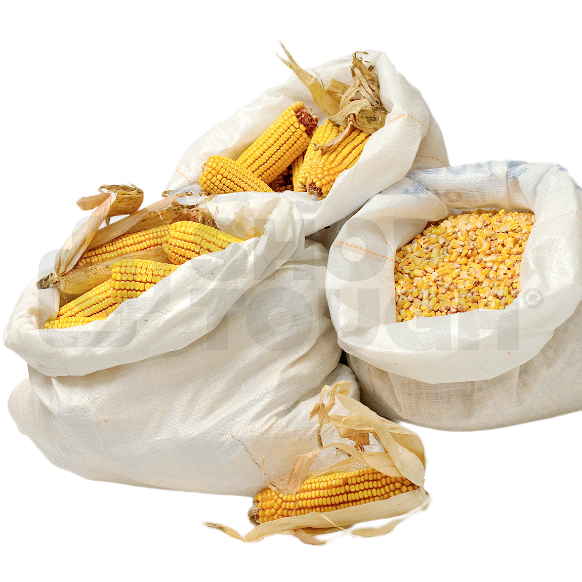 Standard Circular Woven Bags